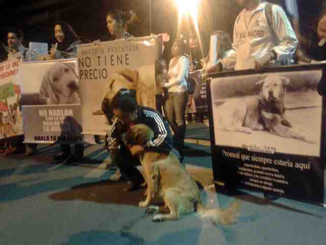 Marcha activistas animalistas en Cochabamba.