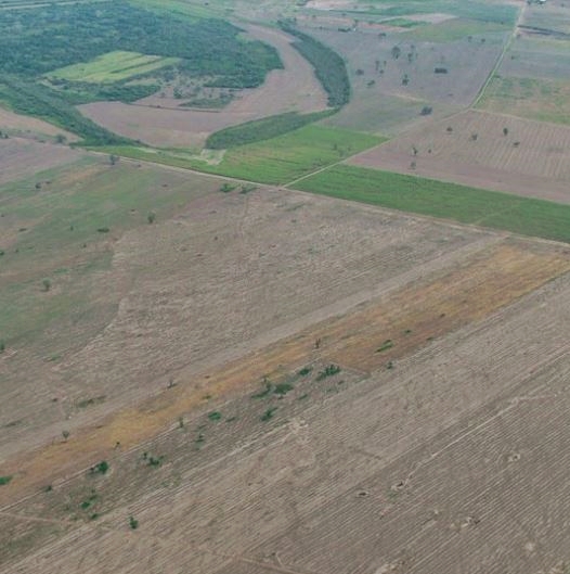 deforestacion norte integrado Saul Cuellar FAN