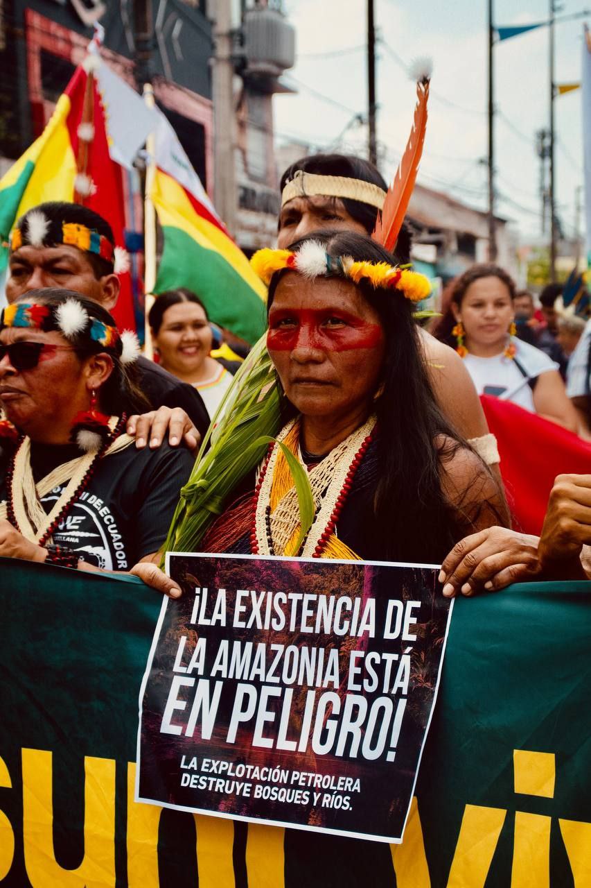 pegra amazonia 15nov