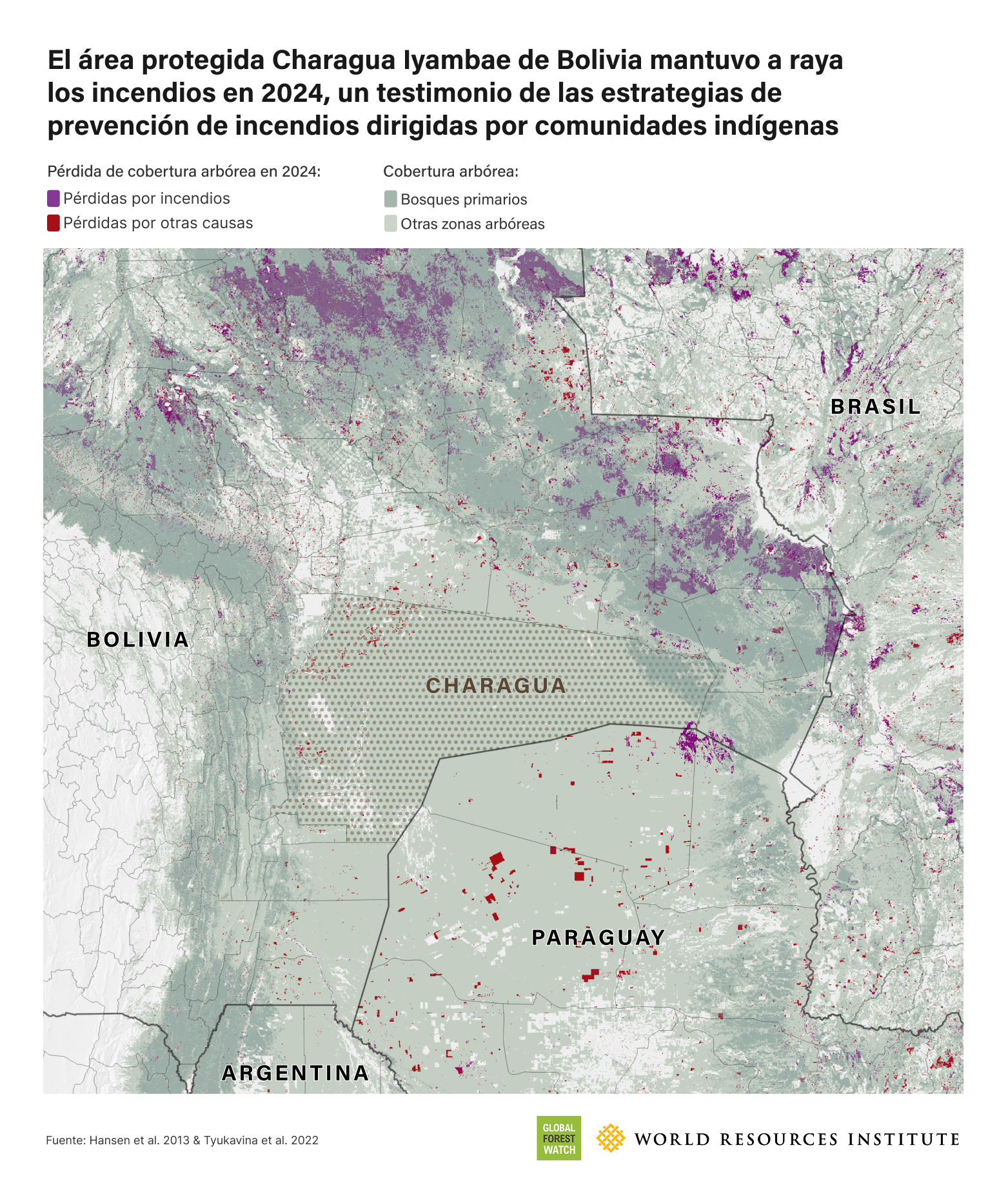 tcl 2024 charagua es