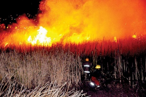Cochabamba: Incendios forestales consumieron 5.000 hectáreas en 2015