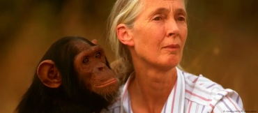 Muere Jane Goodall, la conservacionista que cambió nuestra comprensión de los chimpancés y de nosotros mismos