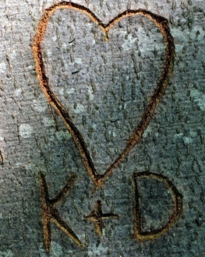 Corazón tallado en un árbol.
