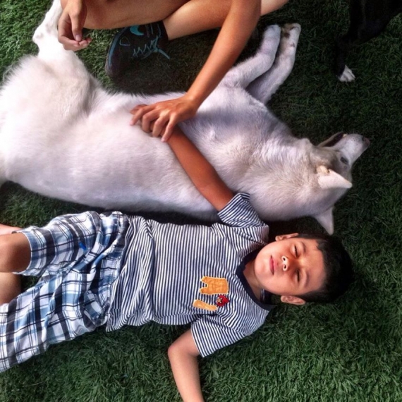 Intervención de Kamuk en el Centro Interdisciplinario de Estimulación Temprana Andar