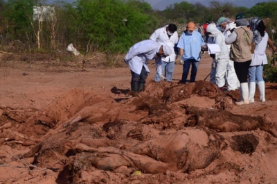 La exhumación se constató que se habían sacrificado otros equinos.