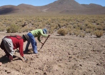 Nayan wila masijas markajas jan jisk’achatañapatakiw yatxatatäñ munta