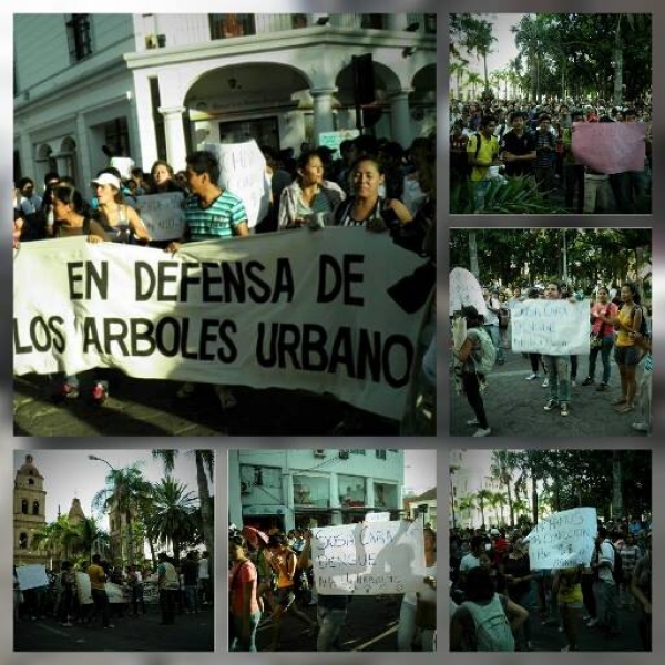 Una de las protestas realizadas por el Colectivo Árbol, en defensa de los árboles de la ciudad de Santa Cruz.