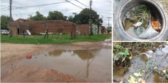 Criaderos de mosquitos en Santa Cruz de la Sierra