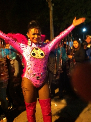 Desfile del Orgullo Gay en Santa Cruz, foto tomada el 28 de Junio de 2014.