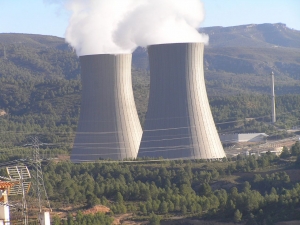 Información y consulta sobre energía nuclear es la consigna