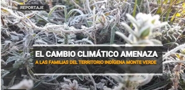 El cambio climático amenaza a las familias de la comunidad Monte Verde