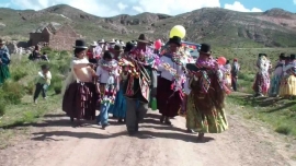 Tarqueada en el altiplano boliviano.