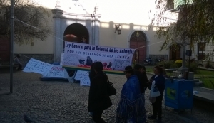 Jóvenes activistas mantienen la vigilia en la plaza La Merced, de La Paz FOTO: Carla Hannover